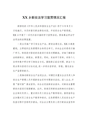 XX乡新安法学习宣贯情况汇报.docx