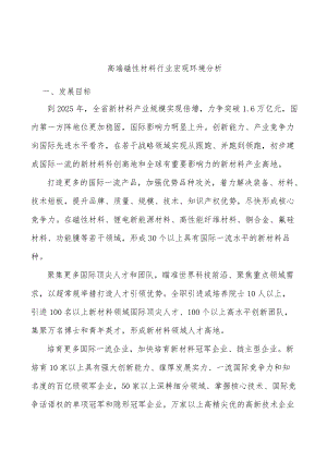 高端磁性材料行业宏观环境分析.docx