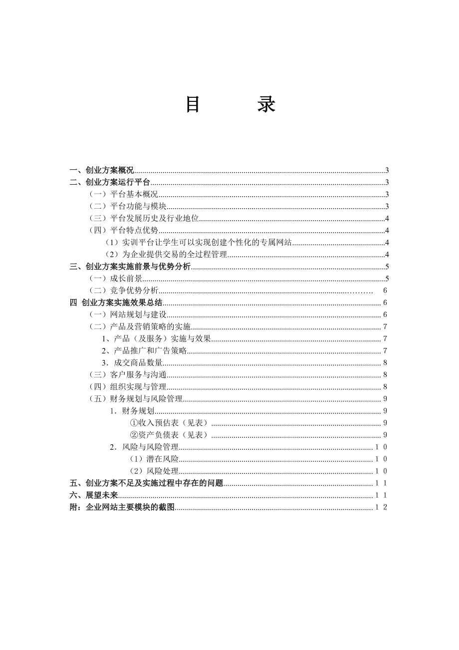 创业方案实施与总结报告(第一组).docx_第2页