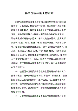 县中医院年度工作计划.docx