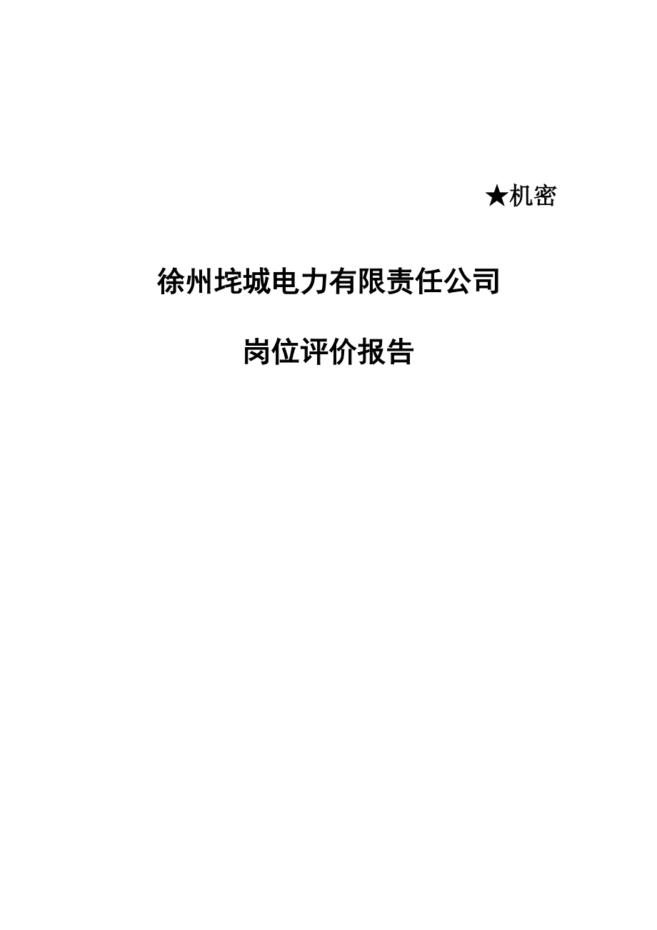 徐州垞电岗位评价报告.docx_第1页