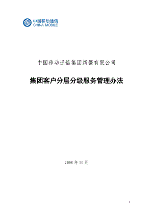 集团客户分层分级服务管理办法(校对版).docx