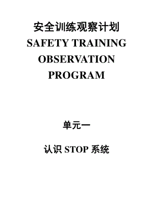 杜邦STOP安全培训观查程序.docx