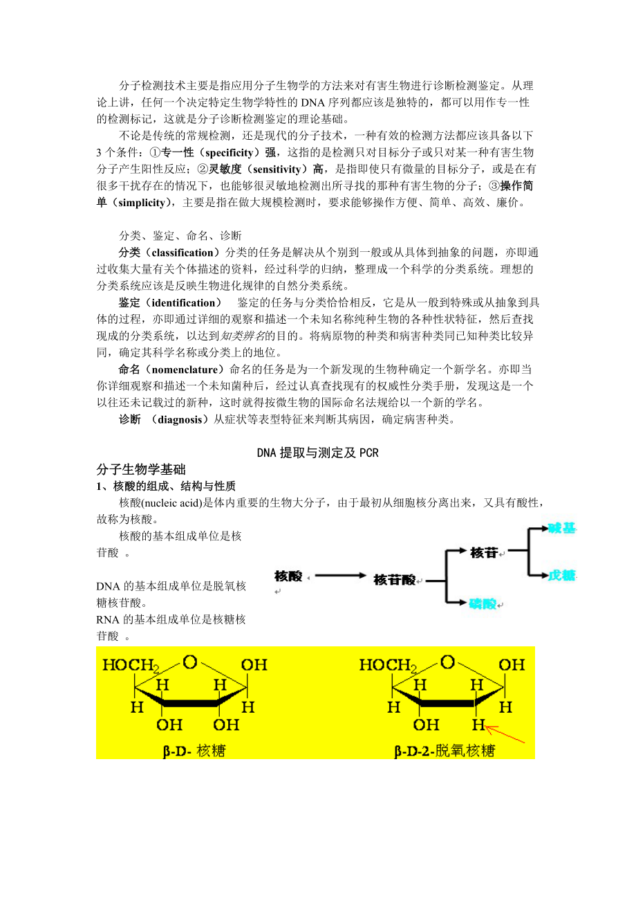 分子检验检测技术培训讲义.docx_第3页