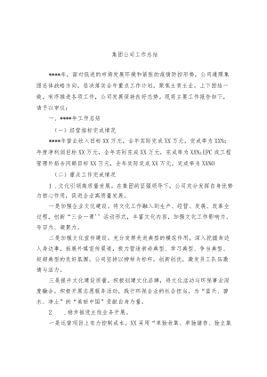 集团公司、个业工作总结（范文）.docx