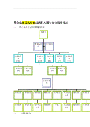 某企业高层执行官组 织机构图与岗位职责描述.docx