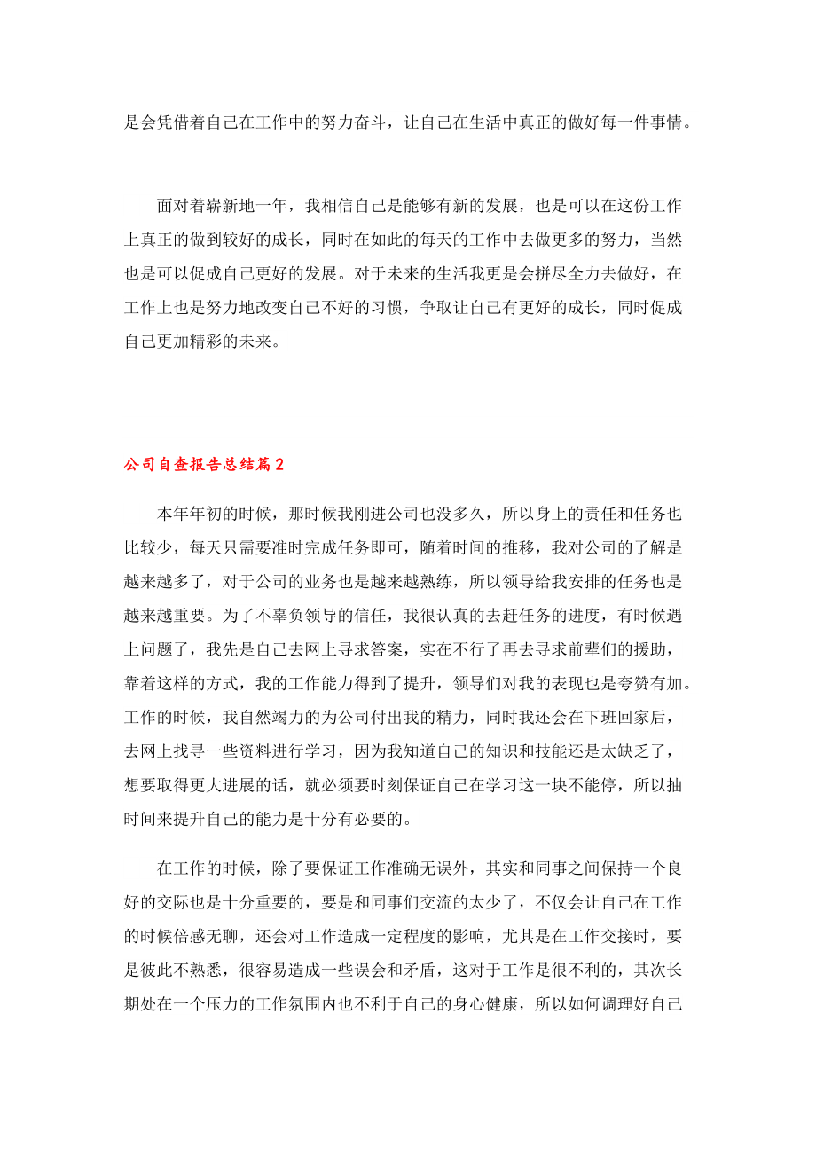 公司自查报告总结.doc_第2页