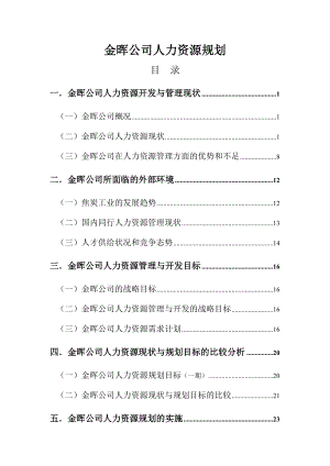 金晖公司人力资源规划.doc