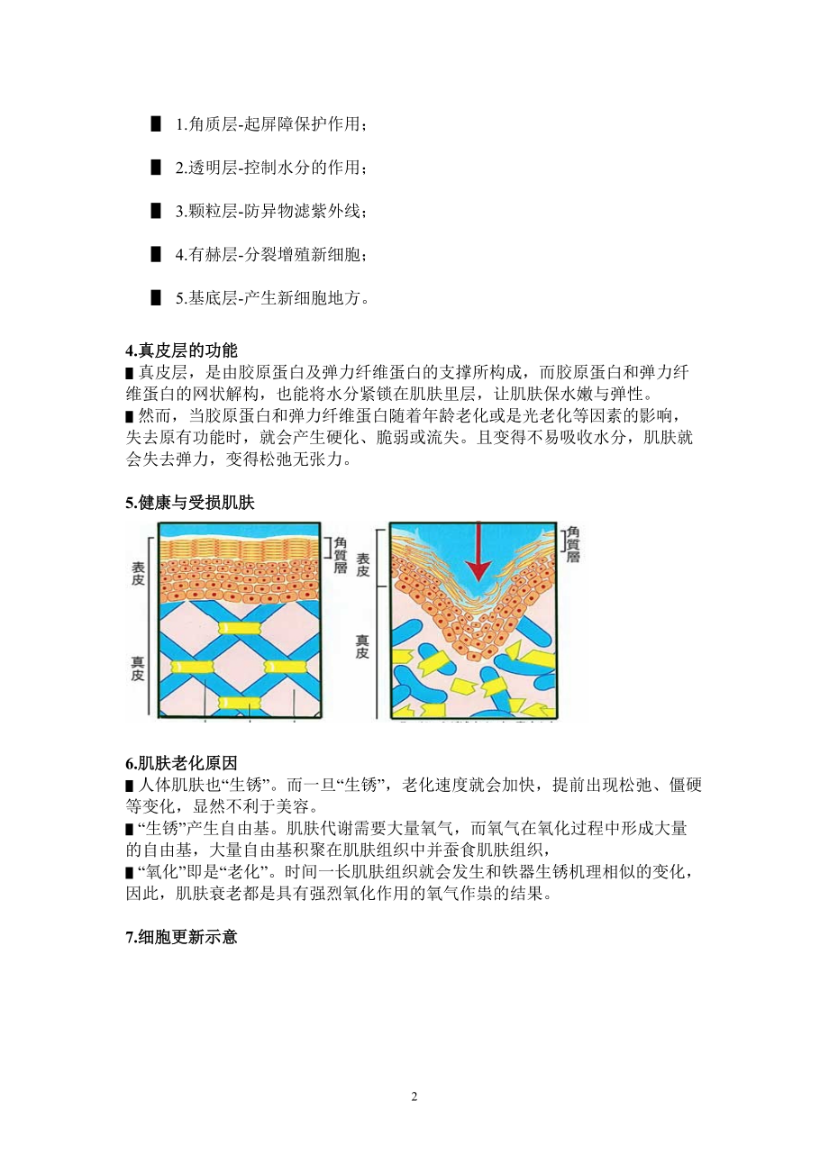 [培训] 维雅骨干特训——基础技能.docx_第2页