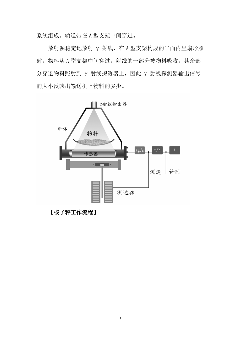 0核子秤培训教材.docx_第3页