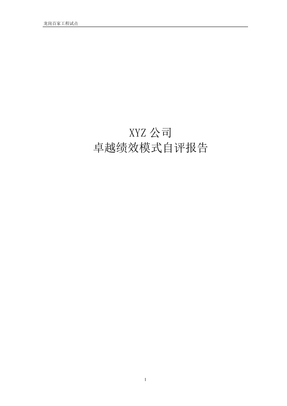 XYZ公司卓越绩效自评报告(模板).docx_第1页