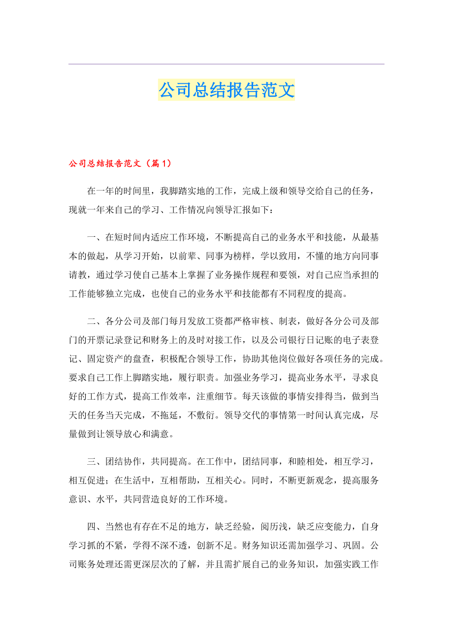 公司总结报告范文.doc_第1页