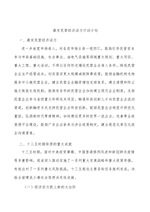 激发民营经济活力行动计划.docx