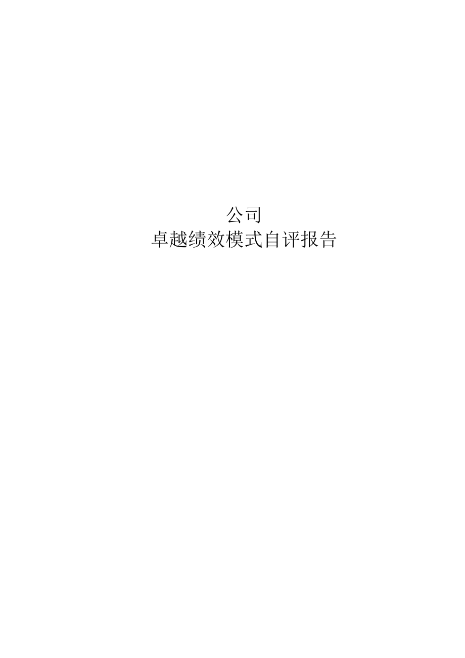 公司卓越绩效自评报告模板.docx_第1页