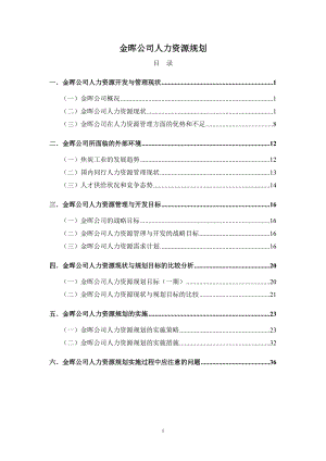 某公司人力资源规划方案实施策略.docx