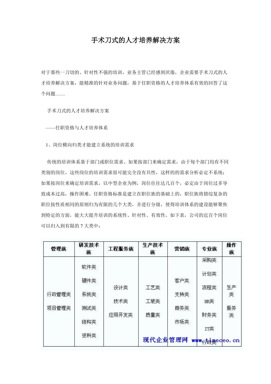 手术刀式的人才培养解决方案.docx_第1页