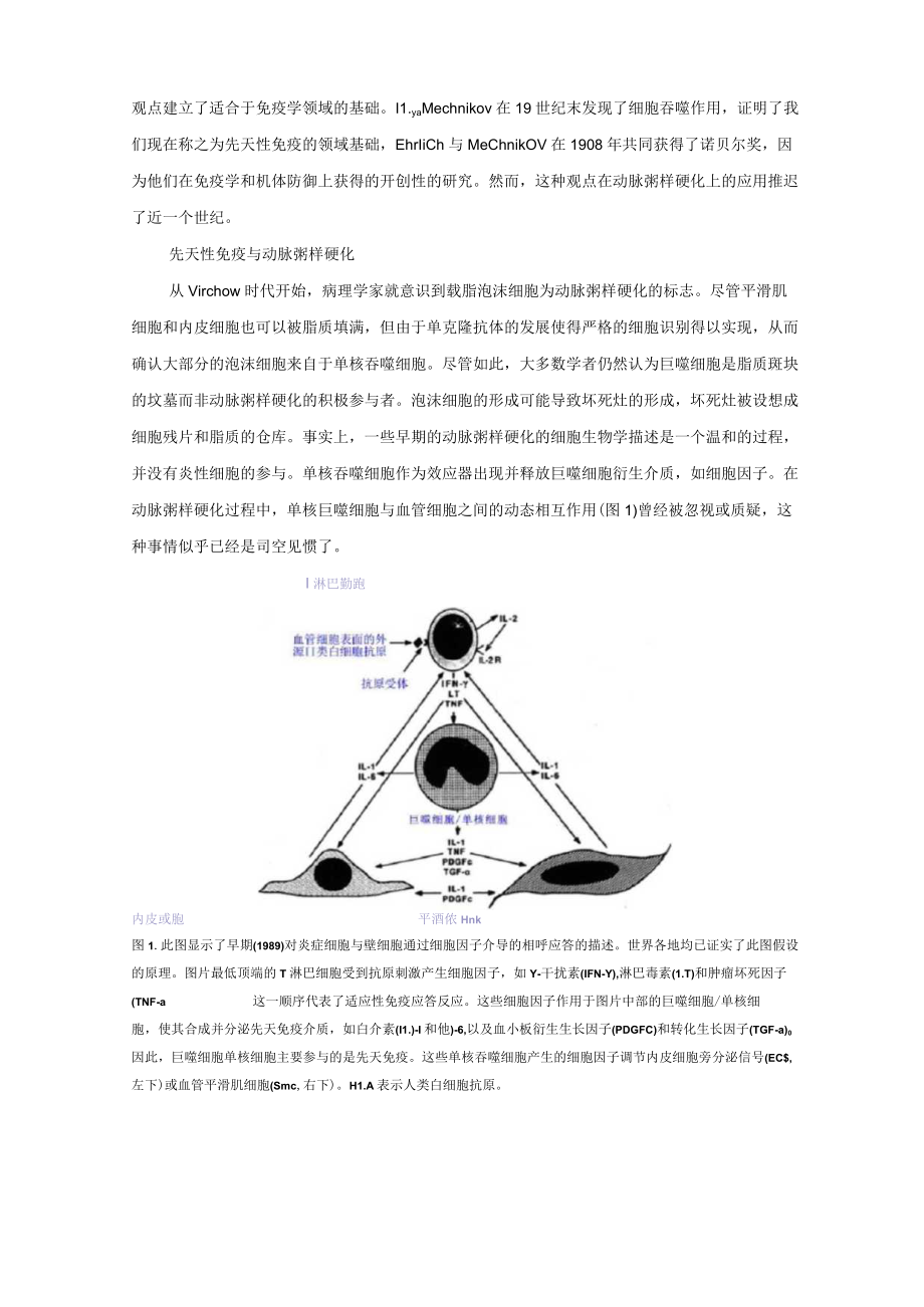 炎症与动脉粥样硬化.docx_第2页