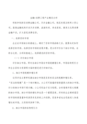 金融+消费工程产业概况分析.docx