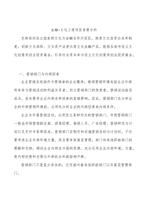 金融+文化工程项目背景分析.docx