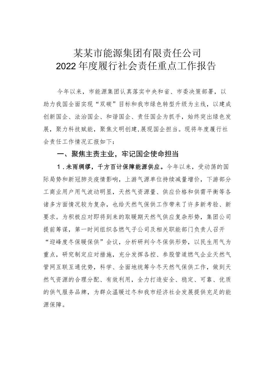 某某市能源集团有限责任公司2022年度履行社会责任重点工作报告.docx_第1页