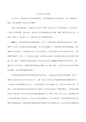 公司安全生产讲稿.docx