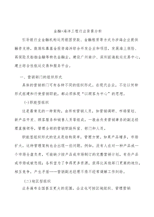 金融+海洋工程行业背景分析.docx