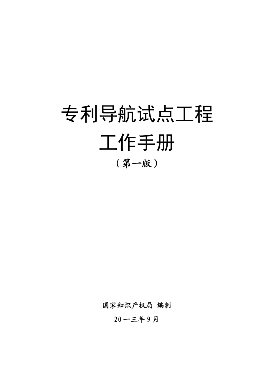 某某专利导航试点工程工作手册.doc_第1页