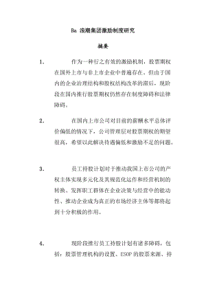 某某集团激励制度的规定.doc