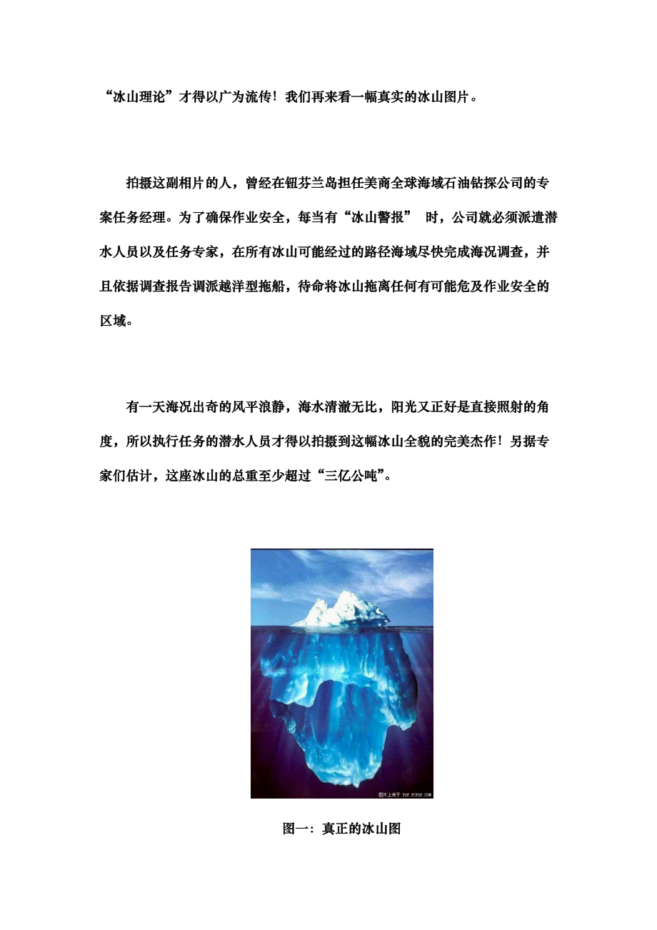 冰山理论与职业化素质（徐剑）.docx_第2页