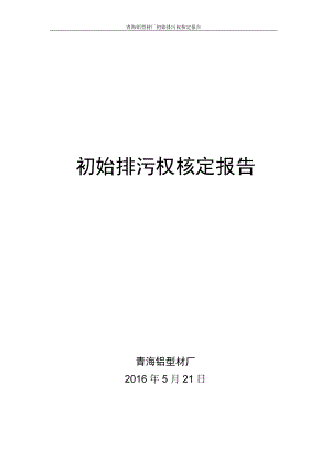 初始排污权核定报告.docx