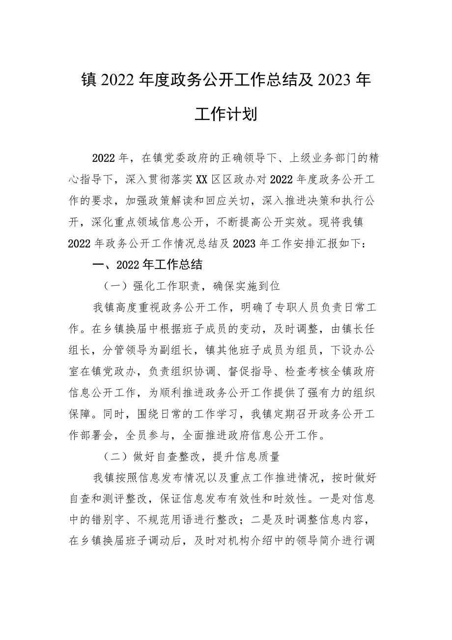 镇2022年度政务公开工作总结及2023年工作计划.docx_第1页