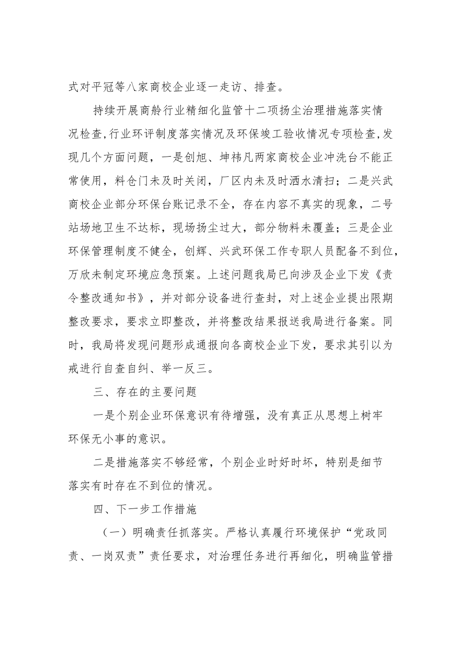 生态环境问题大排查大整治专项行动工作总结.docx_第2页