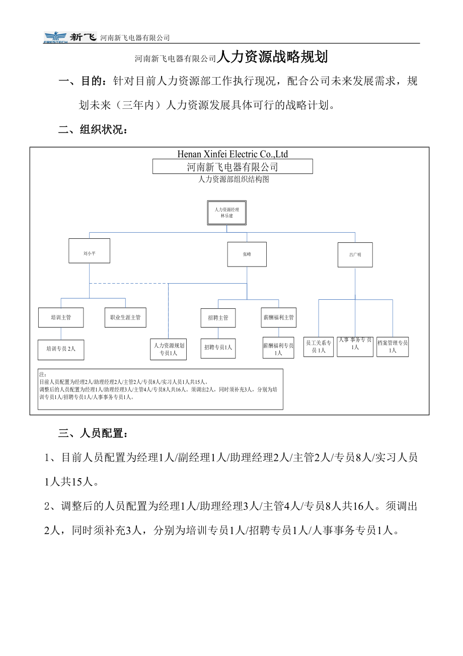 河南新飞电器有限公司人力资源战略规划.docx_第1页