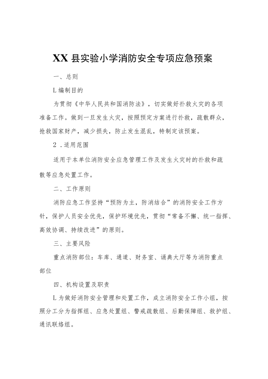 XX县实验小学消防安全专项应急预案.docx_第1页