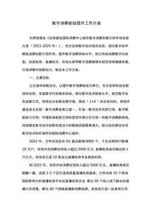 数字消费能级提升工作方案.docx