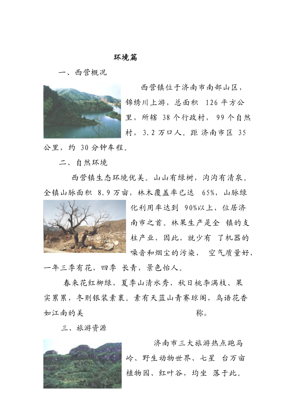 济南西营镇某待建地块规划说明.docx_第3页