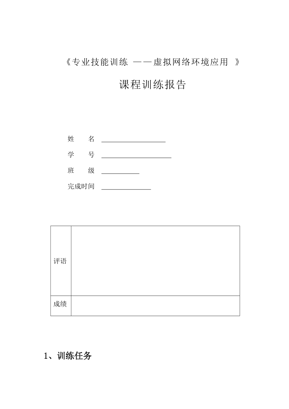 虚拟网络环境应用.docx_第1页