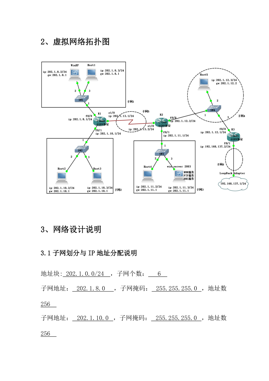 虚拟网络环境应用.docx_第3页