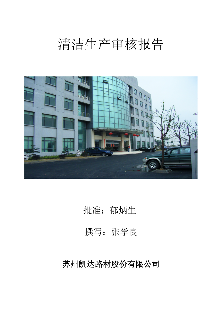 某公司清洁生产审核分析报告.docx_第2页