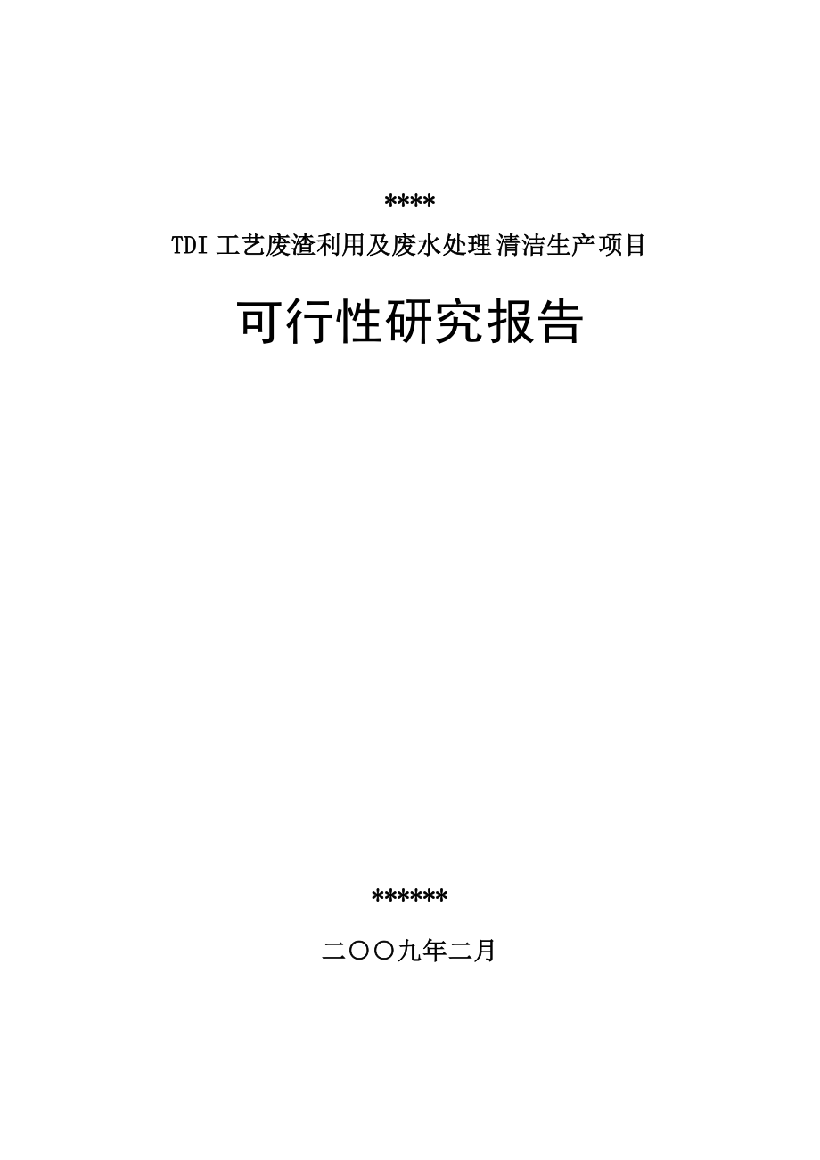 TDI工艺废渣利用及废水处理清洁生产项目可行性研究报告.docx_第1页