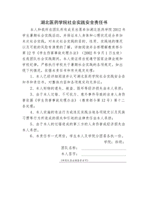 湖北医药学院社会实践安全责任书.docx