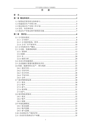 11锦纶清洁生产审核报告.docx