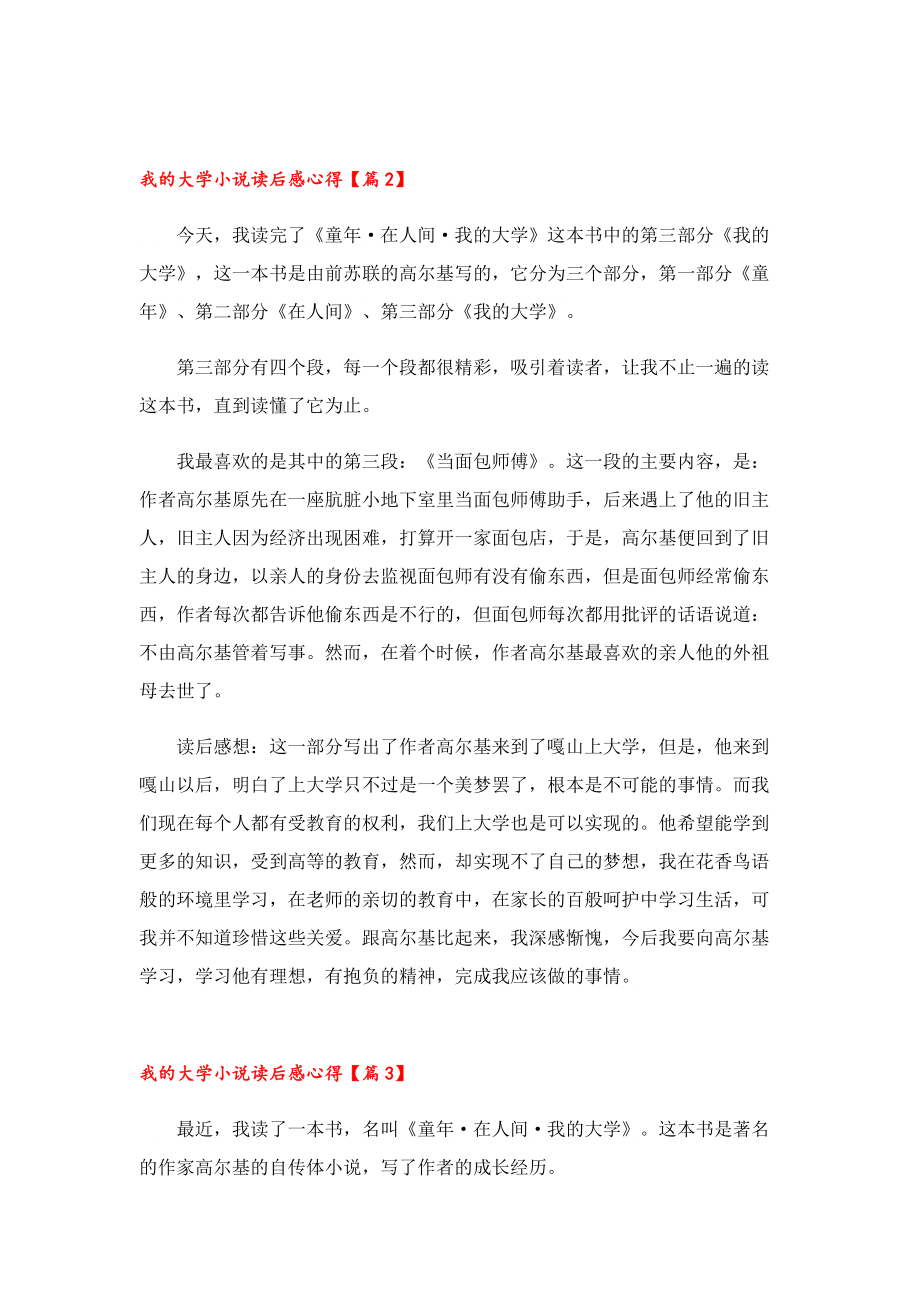 我的大学小说读后感心得.doc_第2页