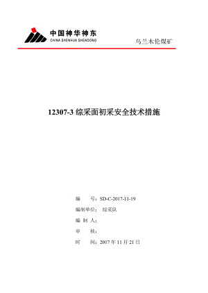 12307-3综采工作面初采放顶安全技术措施.docx