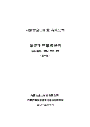 xx矿业有限公司清洁生产审核报告.docx