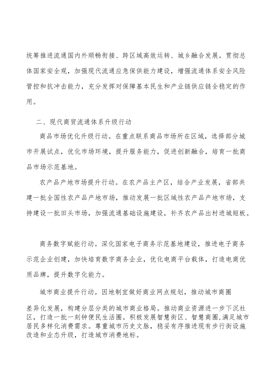 现代商贸流通体系升级行动实施方案.docx_第2页