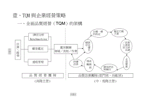 TQM愿景与策略规划.docx