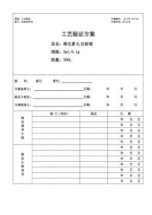 2ml01g维生素B1注射液工艺验证方案.docx