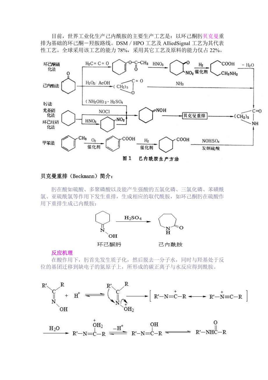 己内酰胺生产工艺.docx_第3页