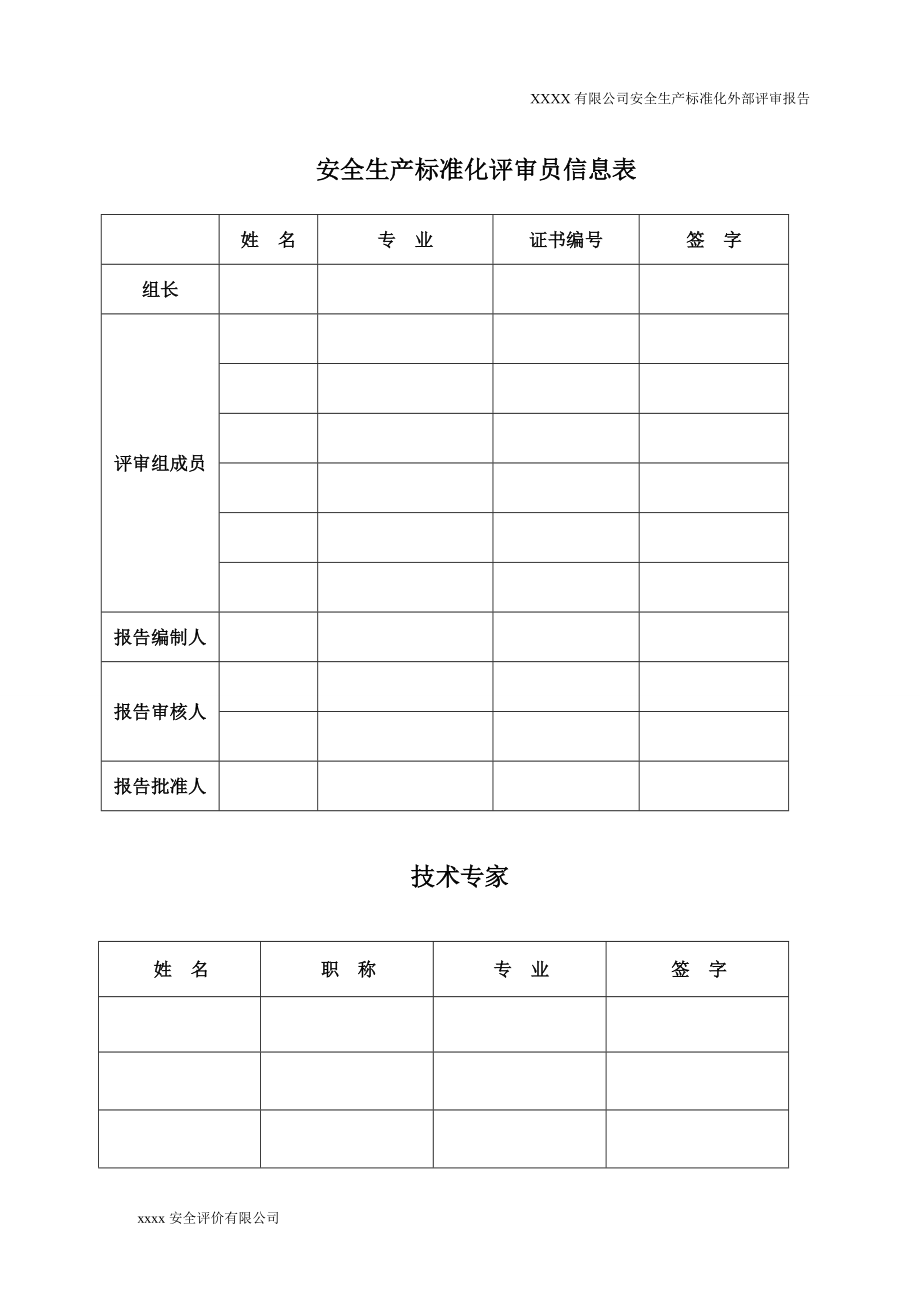 工贸企业安全生产标准化评审报告2.docx_第3页